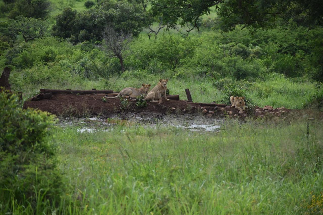 African Spirit Game Lodge Mkuze Esterno foto